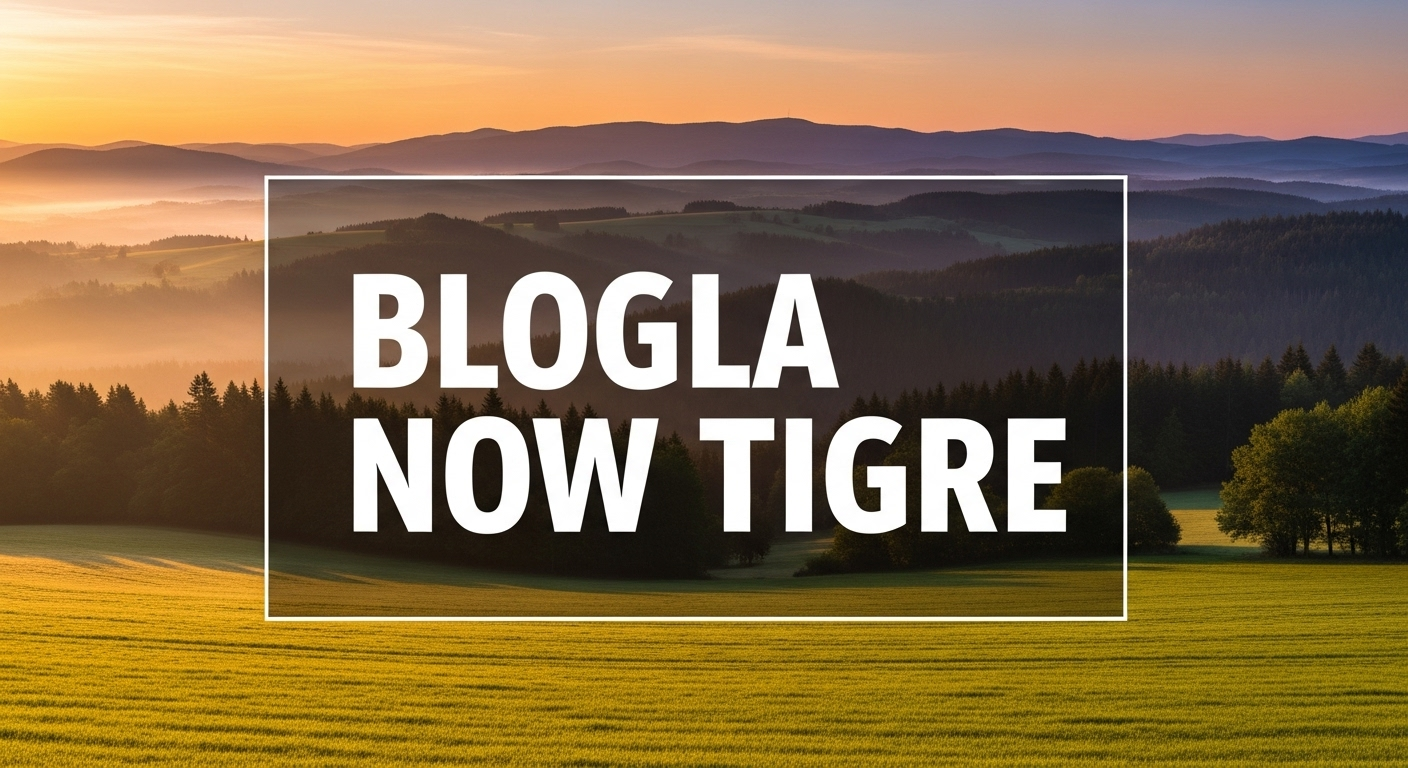 Một slide sử dụng hình ảnh chất lượng cao, chiếm toàn bộ nền, với văn bản tương phản nổi bật ở trên.